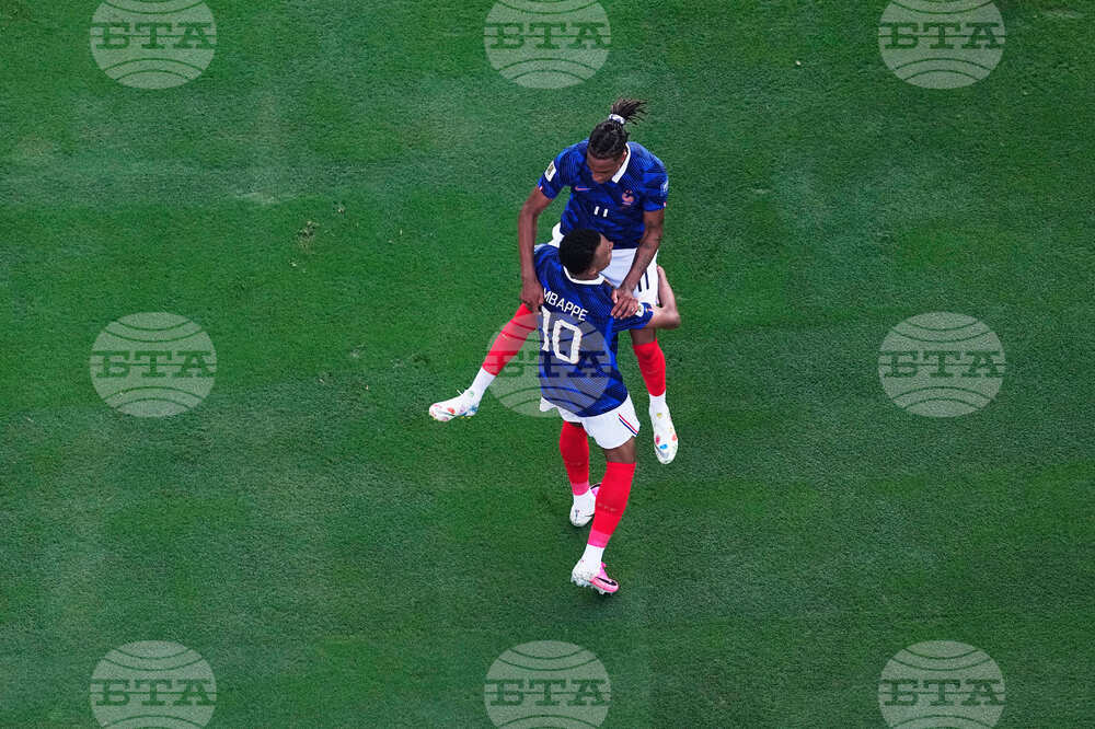 Sweden France WCup Soccer