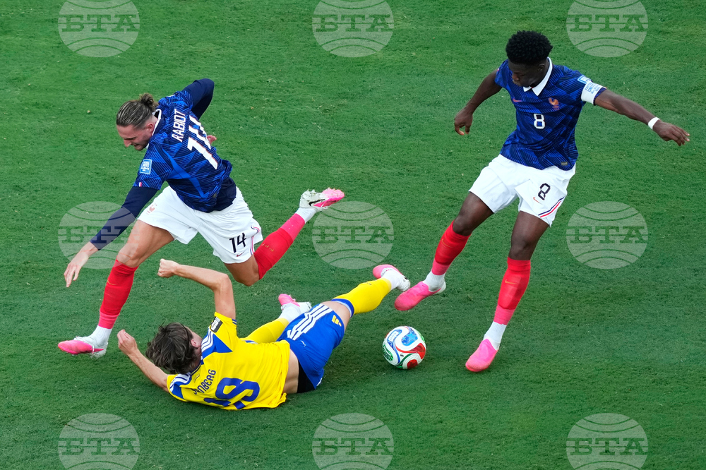 Sweden France WCup Soccer