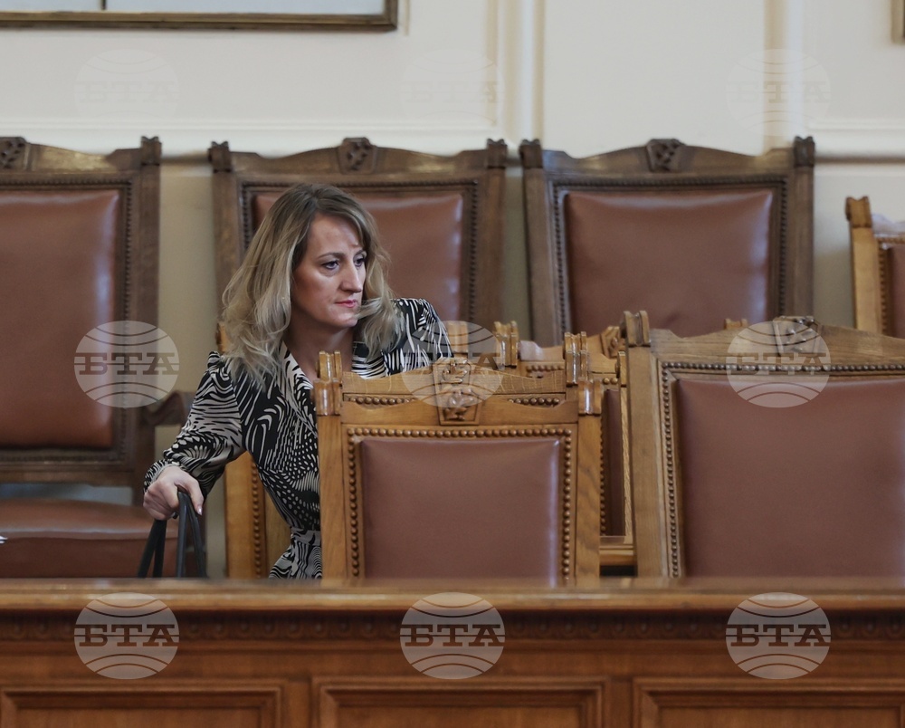 Народно събрание - парламентарен контрол - Росица Карамфилова-Благова