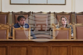 Народно събрание - парламентарен контрол