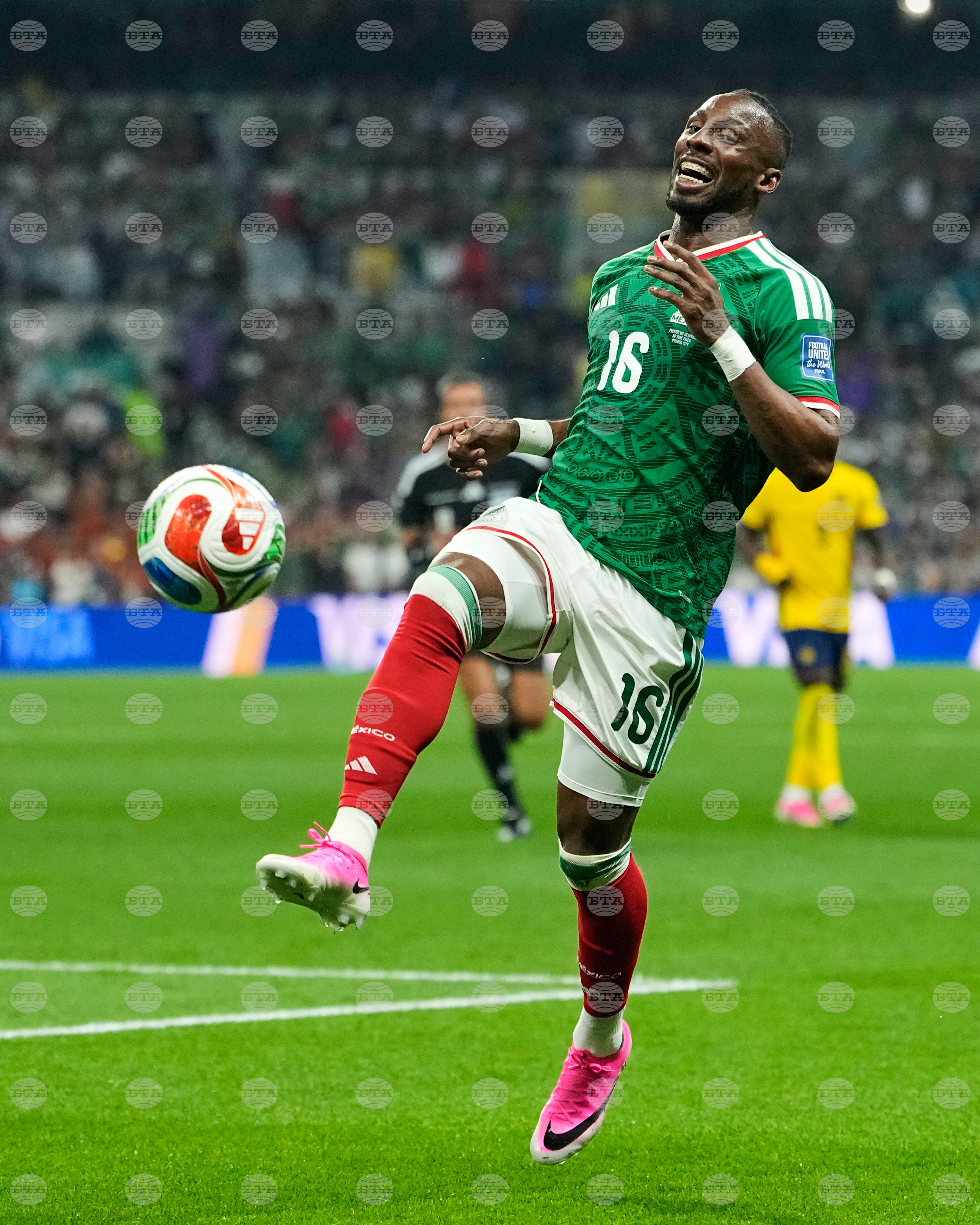 Ecuador Mexico WCup Soccer