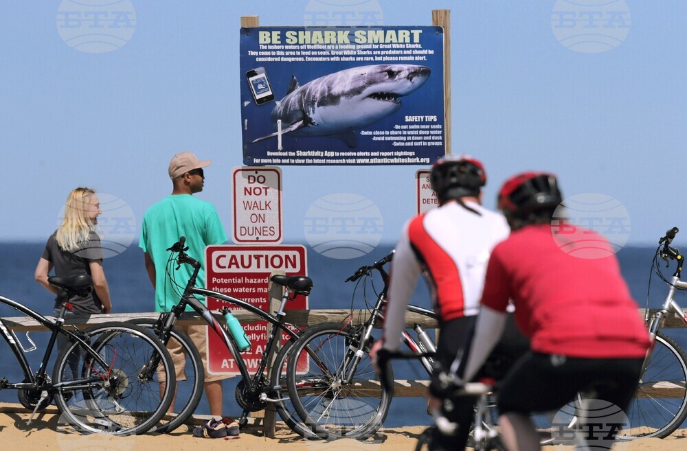 Federal Shark Alerts