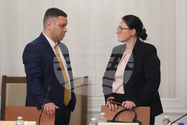 Народно събрание - Комисия по външна политика