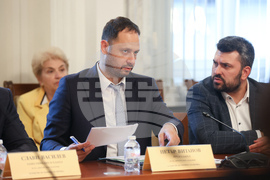 Народно събрание - Комисия по външна политика