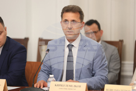 Народно събрание - Комисия по външна политика