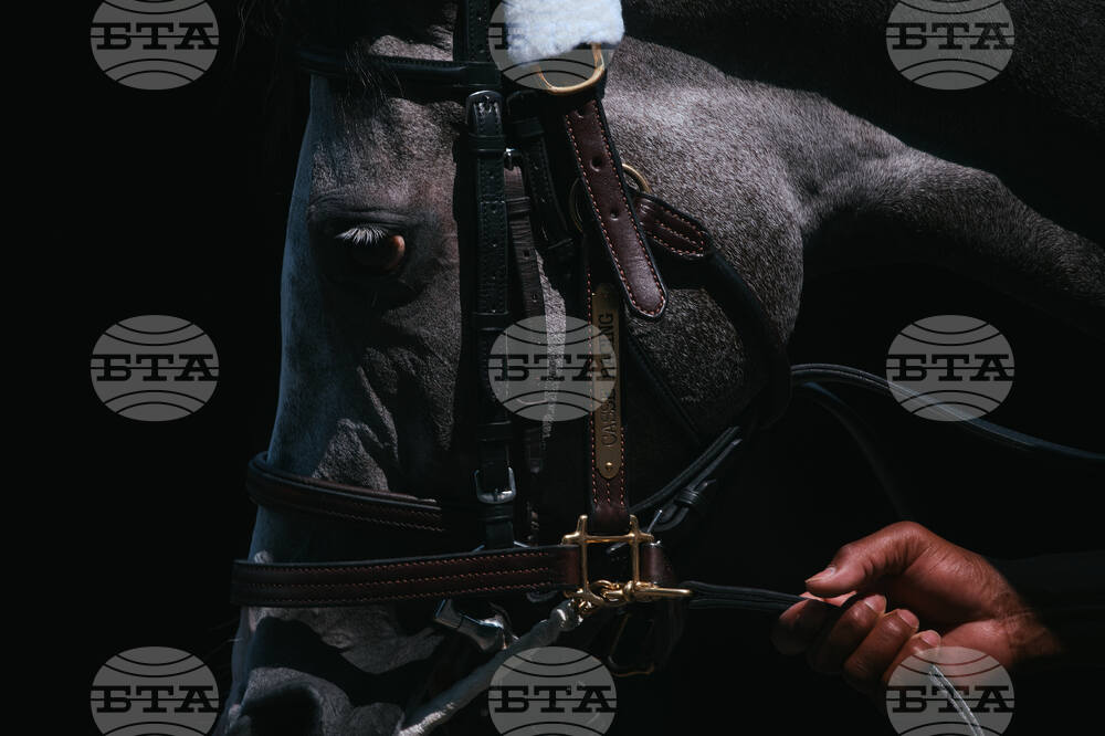 APTOPIX Aqueduct Closing Horse Racing Photo Essay
