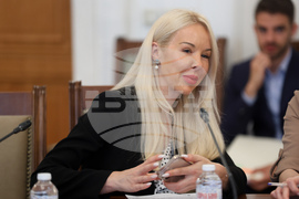 Народно събрание - Комисия по туризъм - заседание