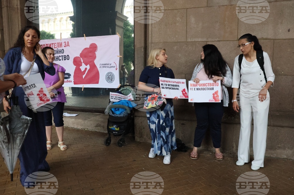 „Майчинството не е милостиня“ - протест