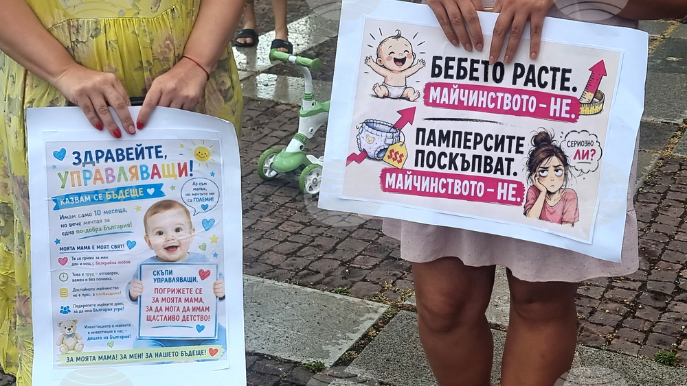 Пловдив - „Майчинството не е милостиня” - протест