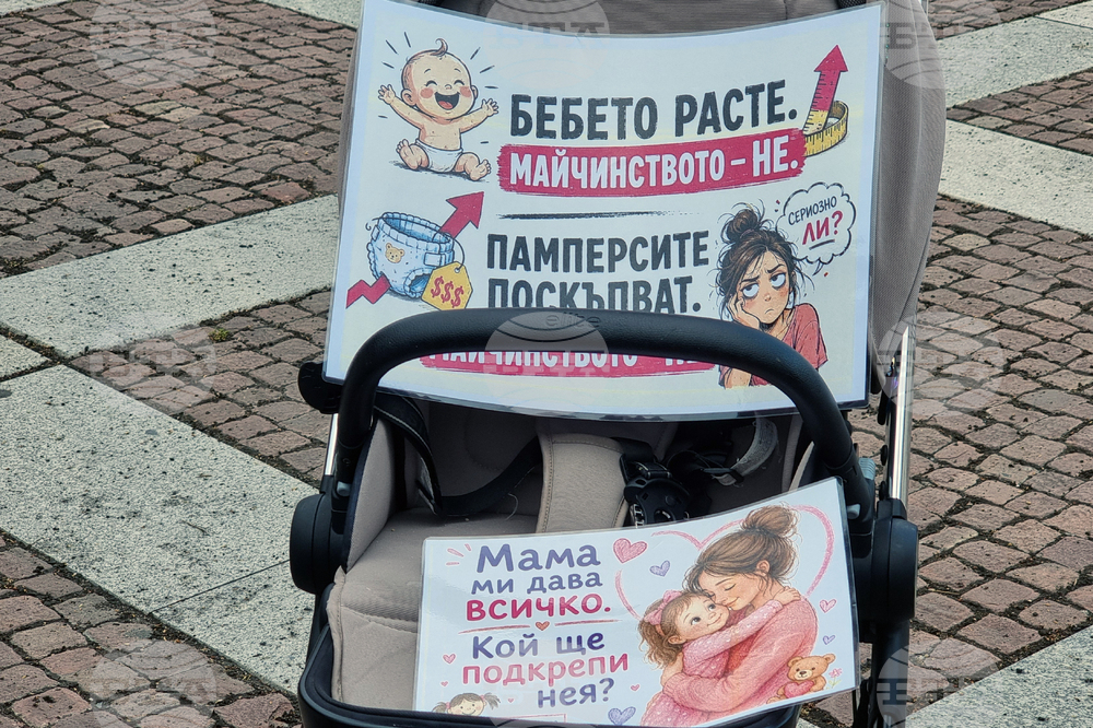 Пловдив - „Майчинството не е милостиня” - протест