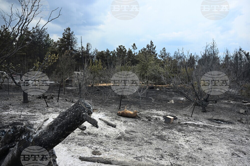 Greece-Wildfires