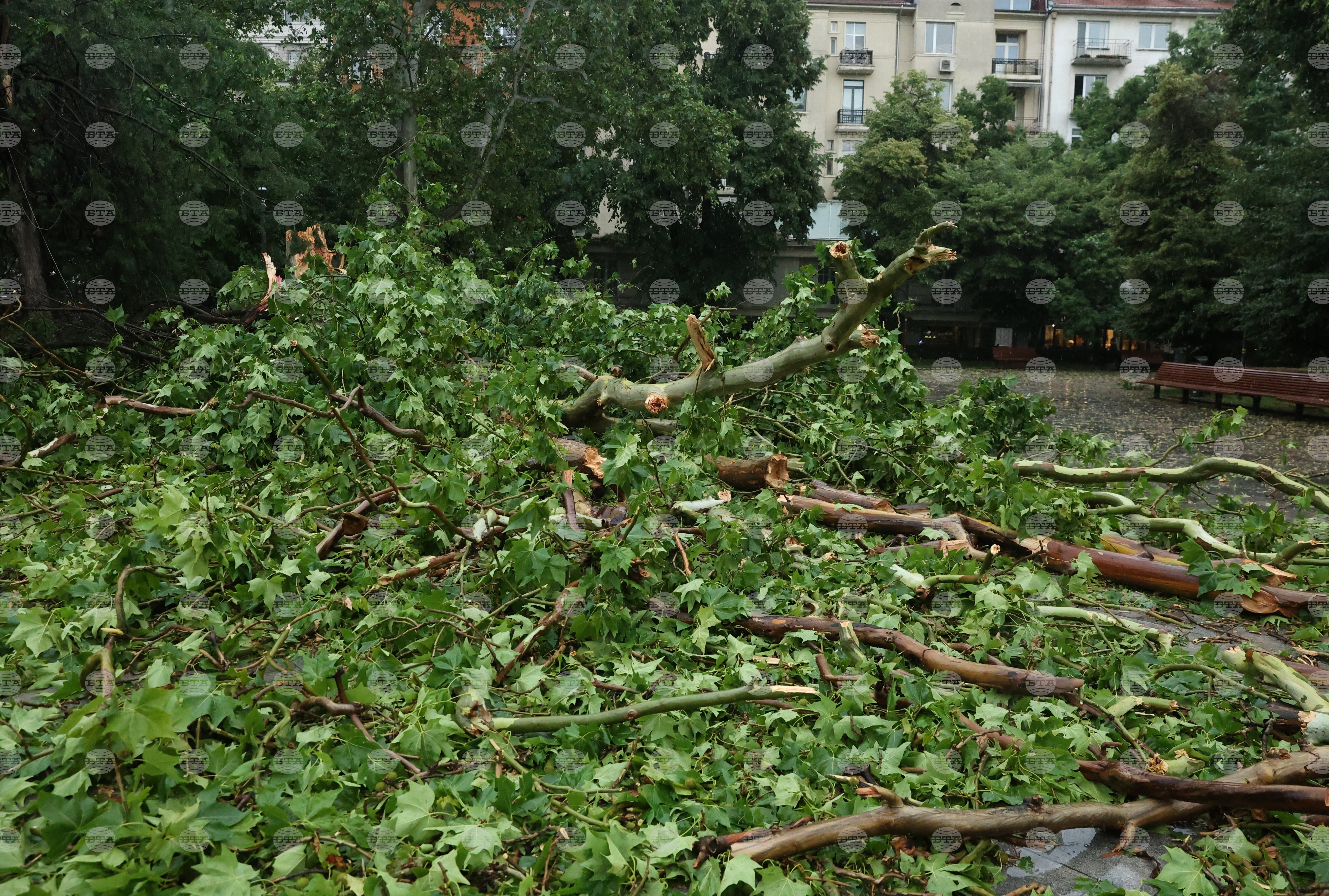 На 210 сигнала, свързани с метеорологичната обстановка в страната, са реагирали пожарните екипи през изминалото денонощие