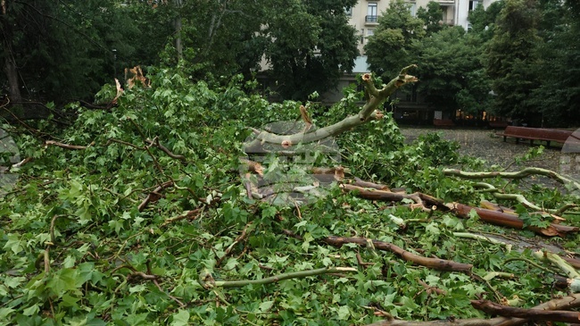 На 210 сигнала, свързани с метеорологичната обстановка в страната, са реагирали пожарните екипи през изминалото денонощие 