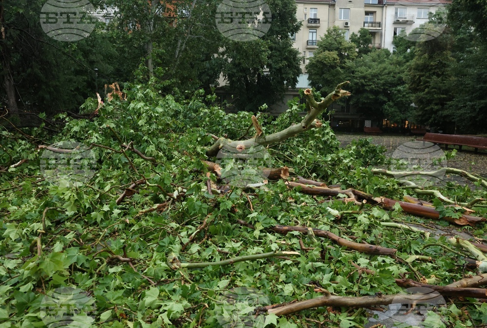 На 210 сигнала, свързани с метеорологичната обстановка в страната, са реагирали пожарните екипи през изминалото денонощие 