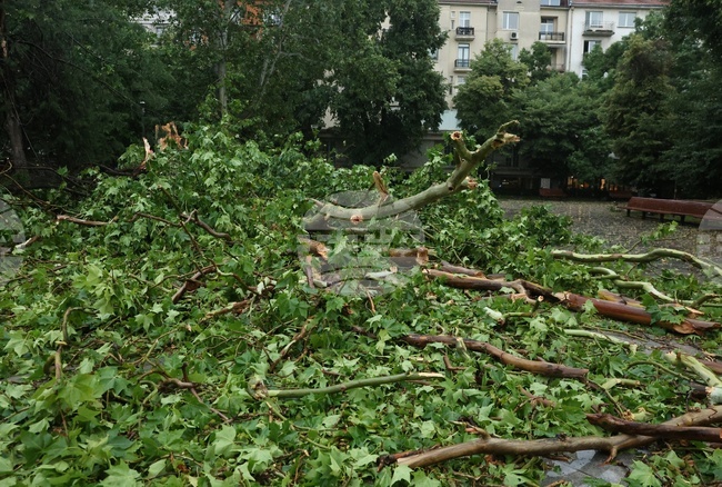 На 210 сигнала, свързани с метеорологичната обстановка в страната, са реагирали пожарните екипи през изминалото денонощие 