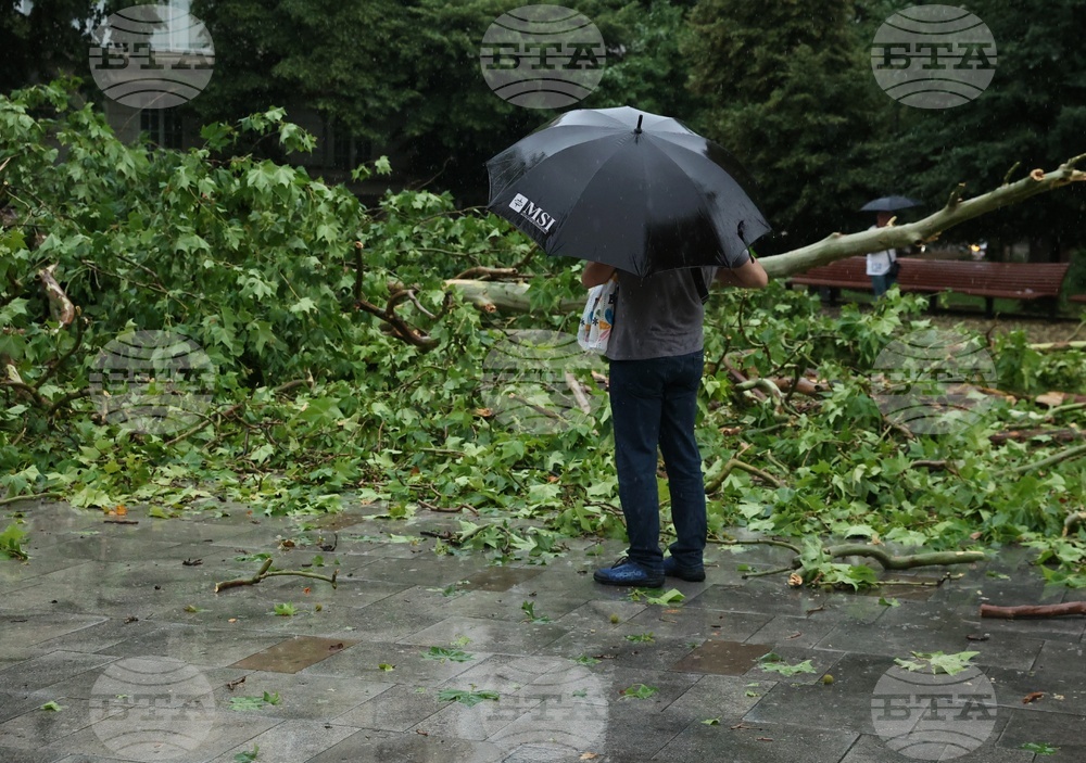 Националният институт по метеорология и хидрология обяви жълт код за интензивни валежи в 14 области