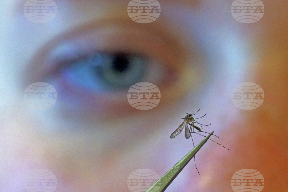 West Nile Virus