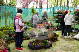 Бургас - Национална изложба на цветя „Флора Бургас 2023" - откриване