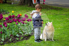 Бургас - Национална изложба на цветя „Флора Бургас 2023" - откриване