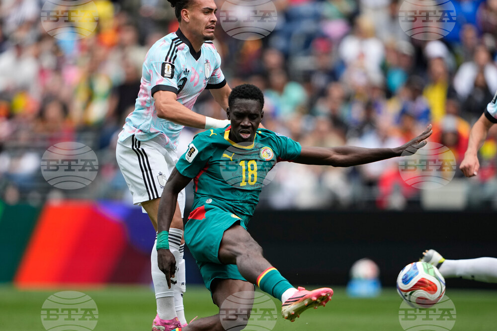 Senegal Belgium WCup Soccer