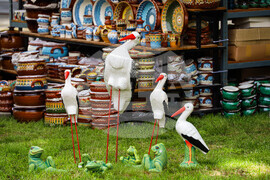 Бургас - Национална изложба на цветя „Флора Бургас 2023" - откриване