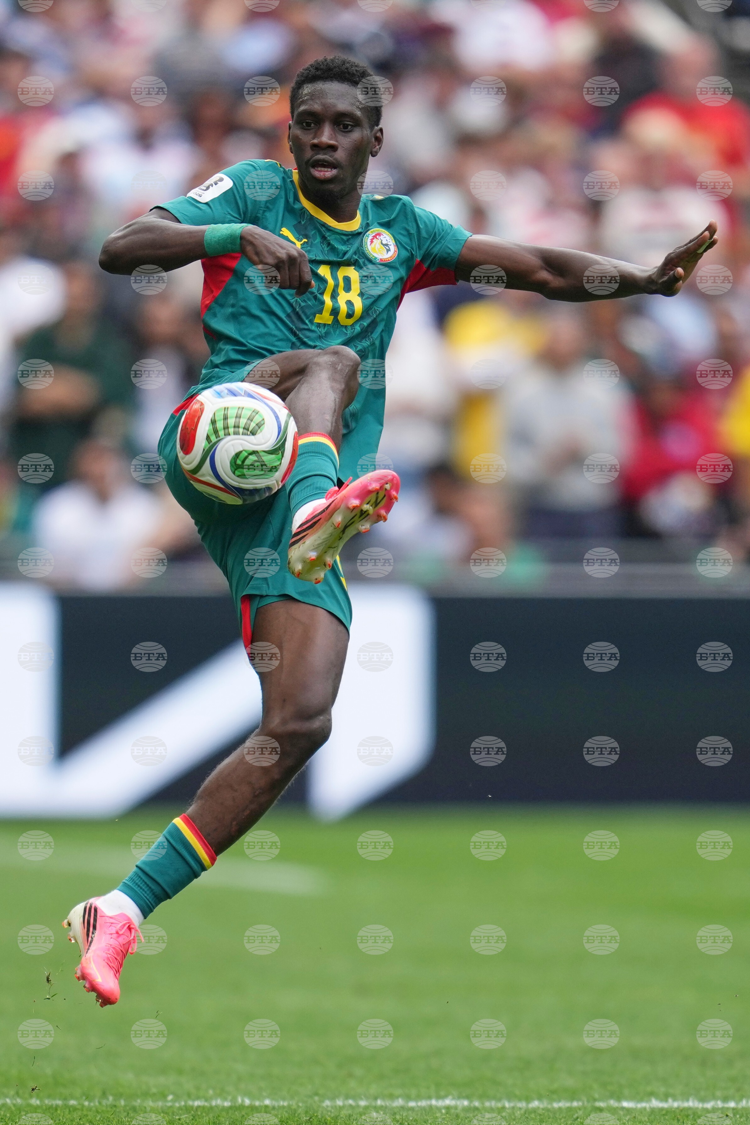 Senegal Belgium WCup Soccer
