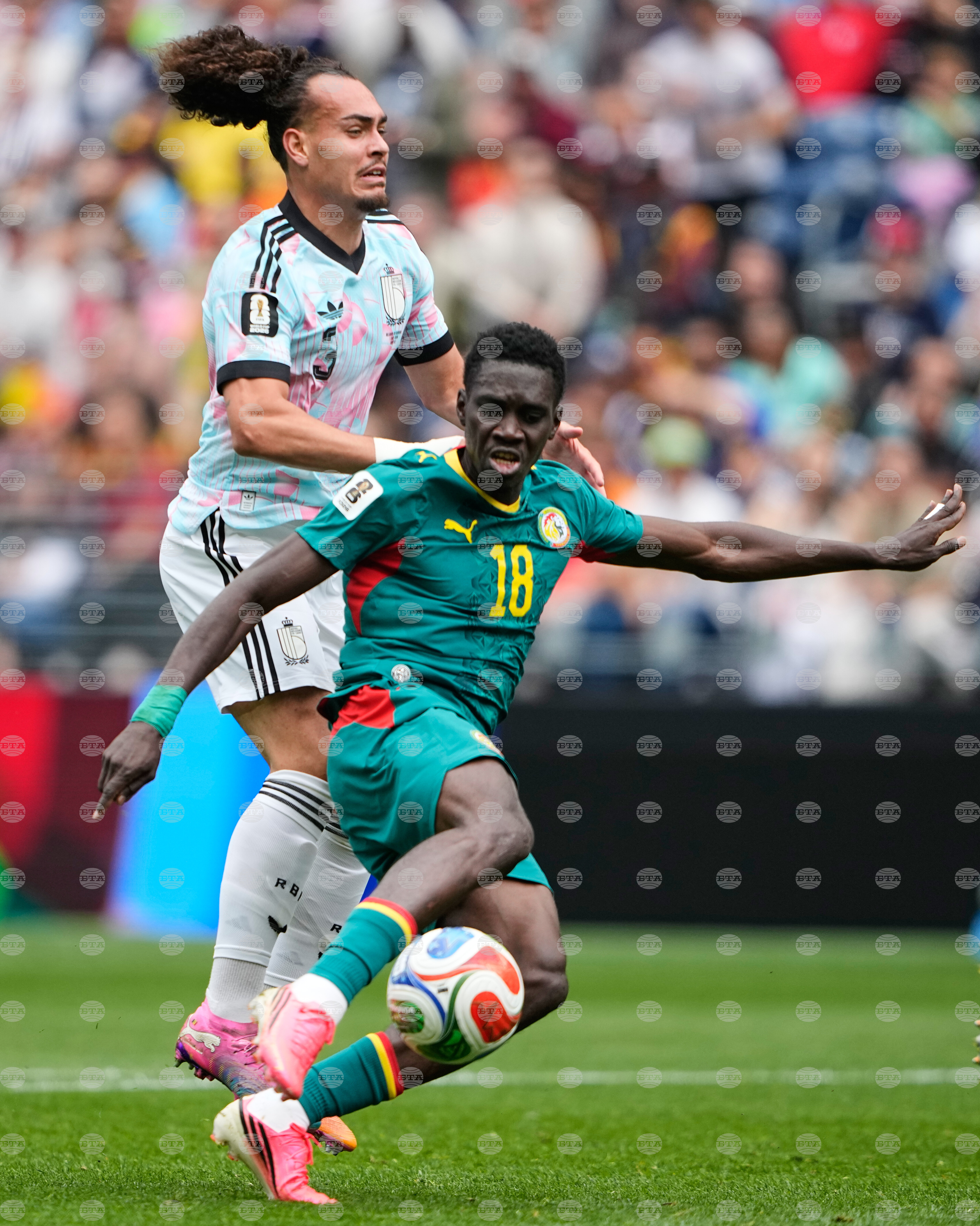 Senegal Belgium WCup Soccer