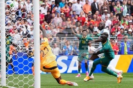 Senegal Belgium WCup Soccer