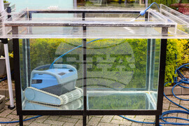 Бургас - Национална изложба на цветя „Флора Бургас 2023" - откриване