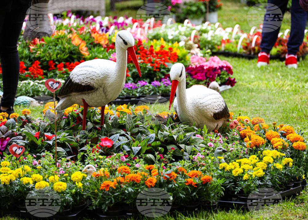 Бургас - Национална изложба на цветя „Флора Бургас 2023" - откриване