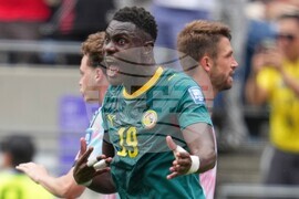 Senegal Belgium WCup Soccer