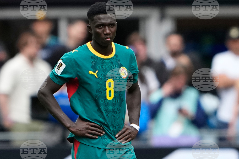 Senegal Belgium WCup Soccer