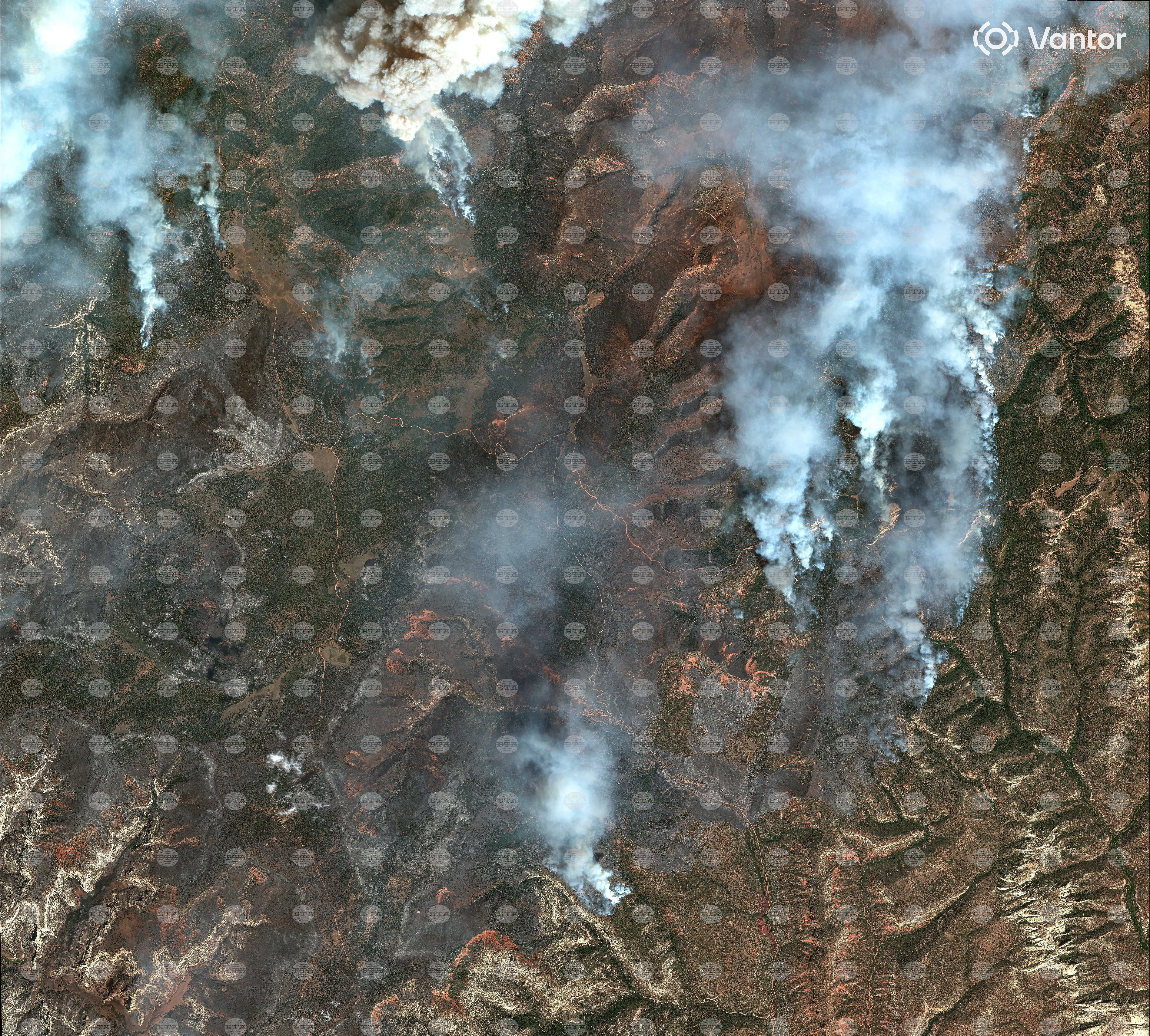 Western Wildfires