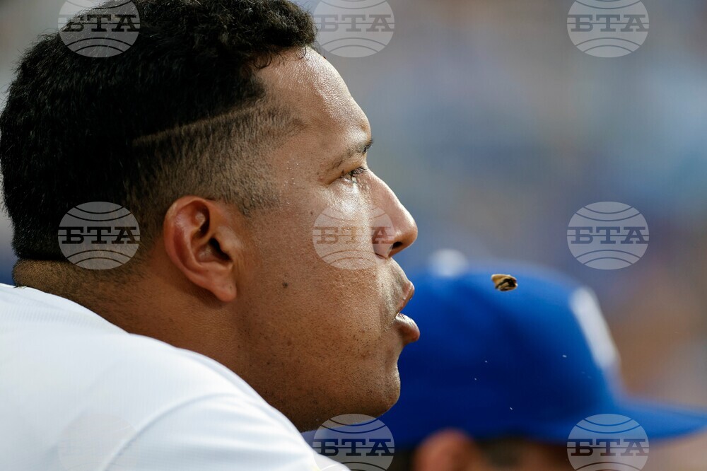 Rays Royals Baseball