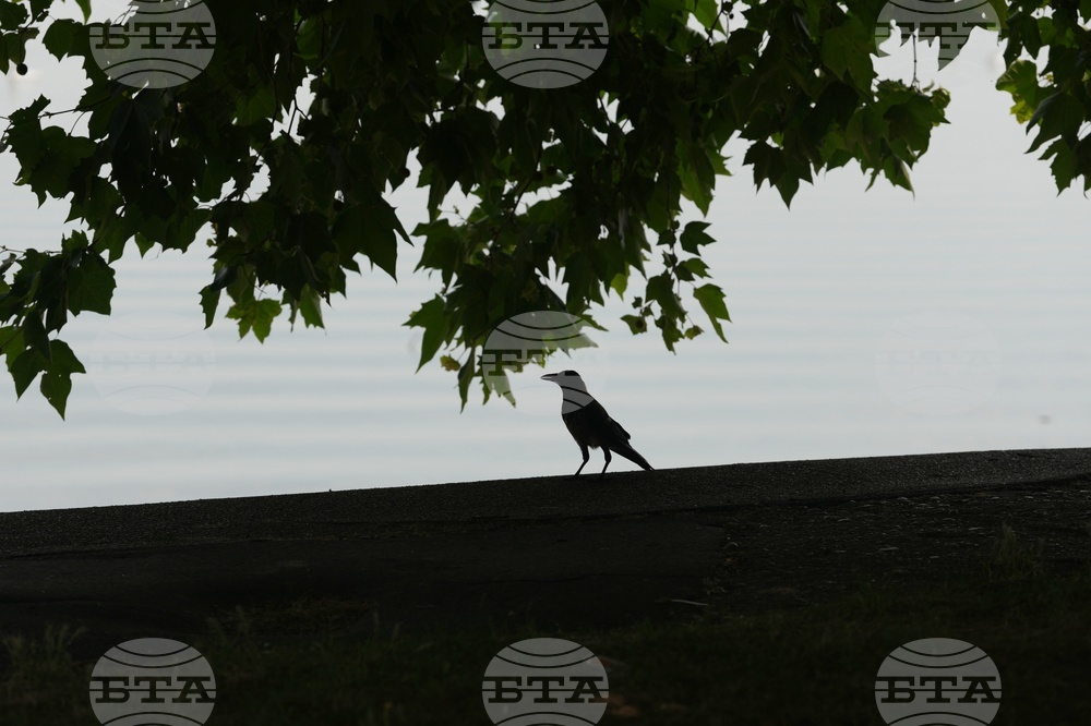 Serbia Daily Life