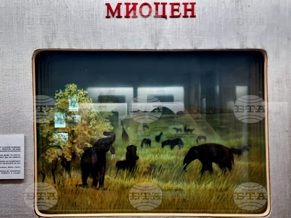 Република Северна Македония - Скопие - Природонаучен музей