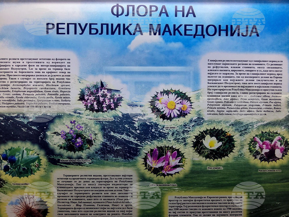 Република Северна Македония - Скопие - Природонаучен музей