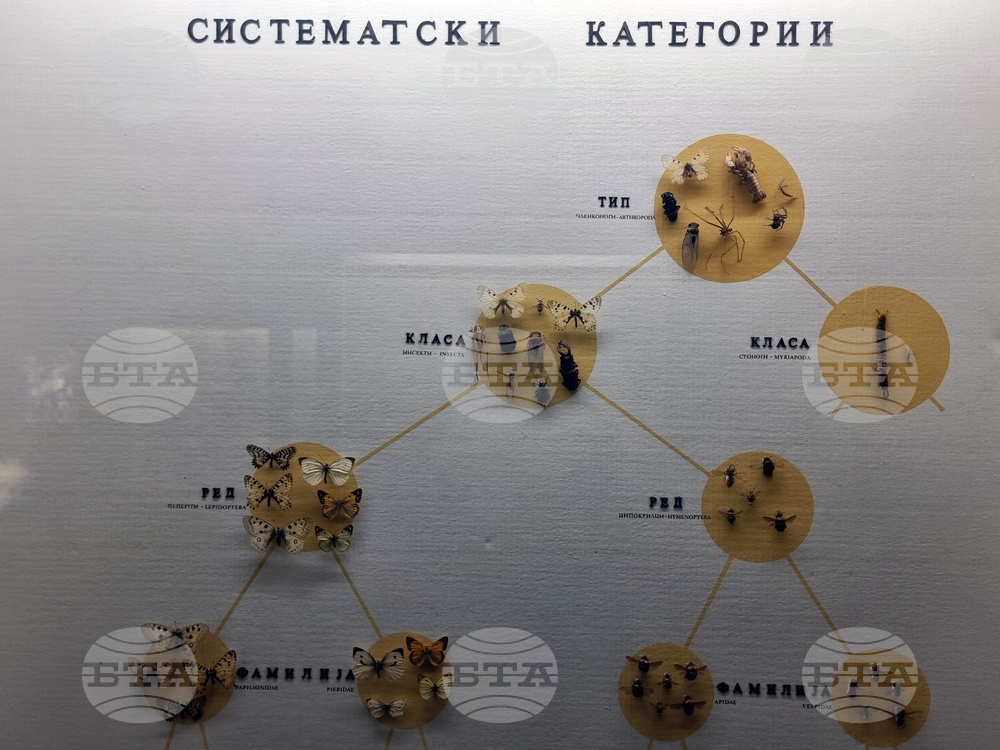 Република Северна Македония - Скопие - Природонаучен музей