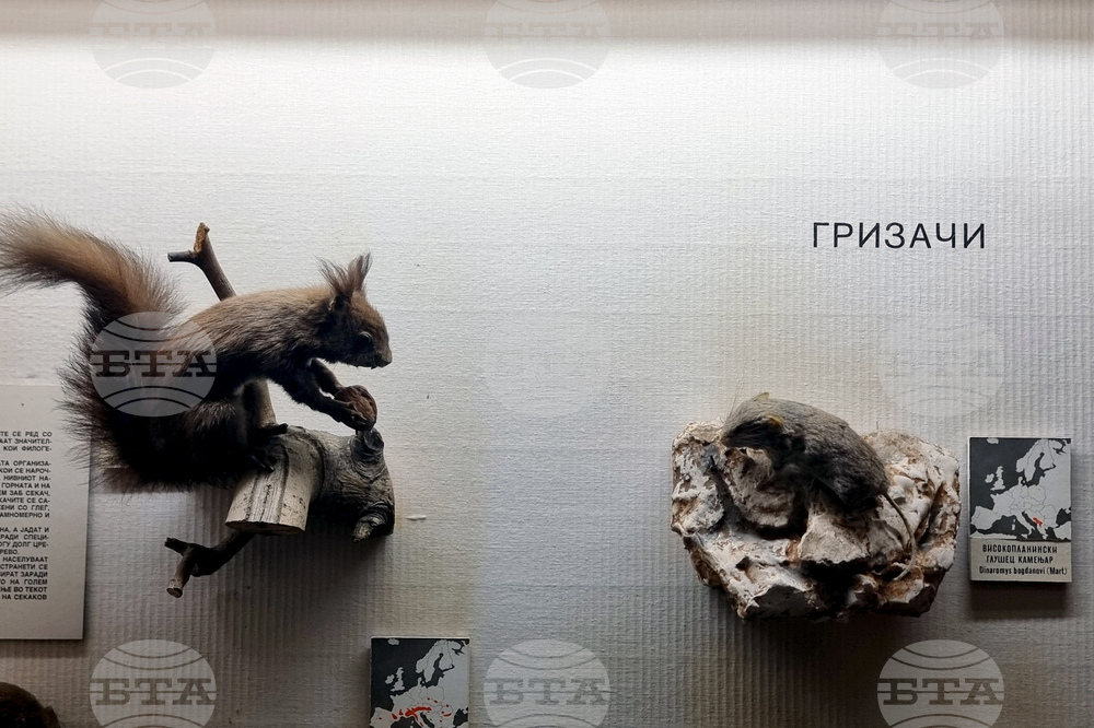 Република Северна Македония - Скопие - Природонаучен музей