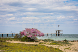 Бургас - моста - пролетен изглед