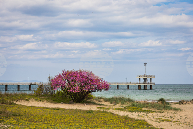 Бургас - моста - пролетен изглед