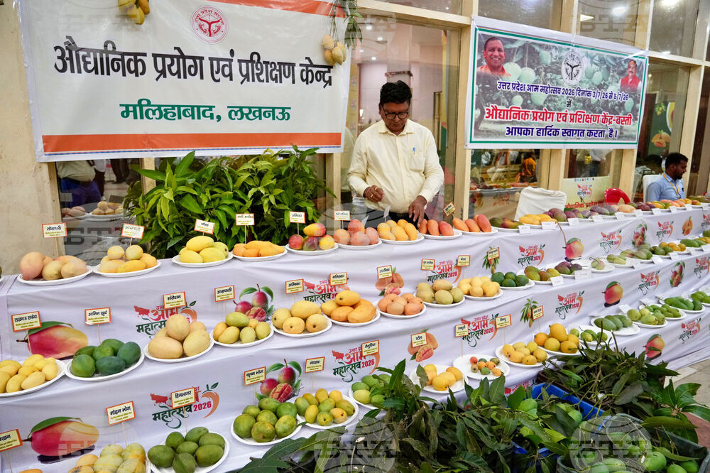 India Mango Festival