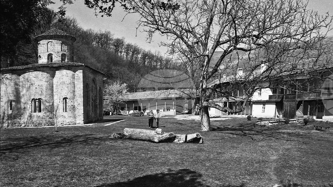 500-Plus Hectares of State Forest Will Be Re-Designated to Build Parking Facility Near Zemen Monsatery