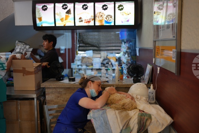 Venezuela Earthquake Pet Hospital