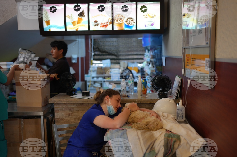 Venezuela Earthquake Pet Hospital