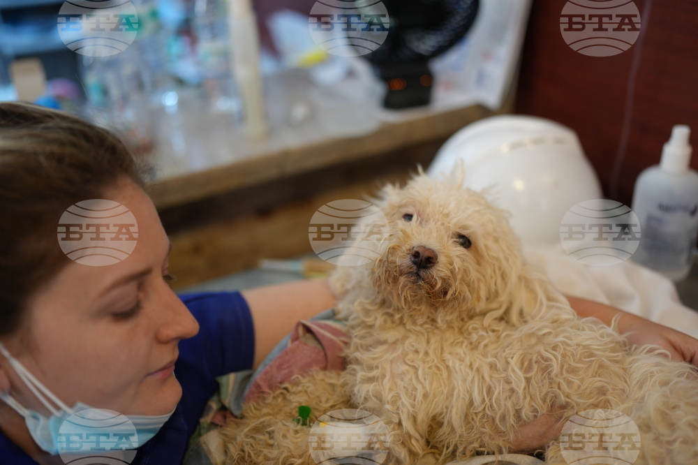 Venezuela Earthquake Pet Hospital