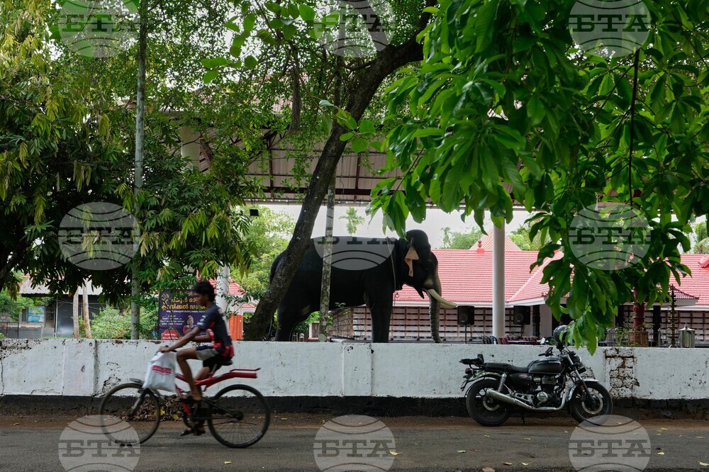 India Robotic Elephants