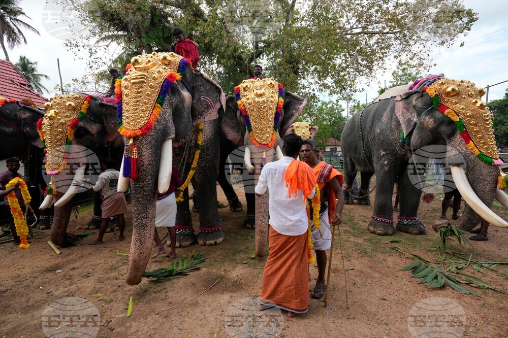 India Robotic Elephants