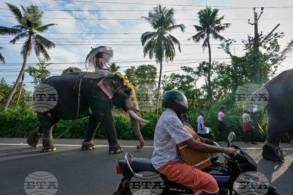 India Robotic Elephants
