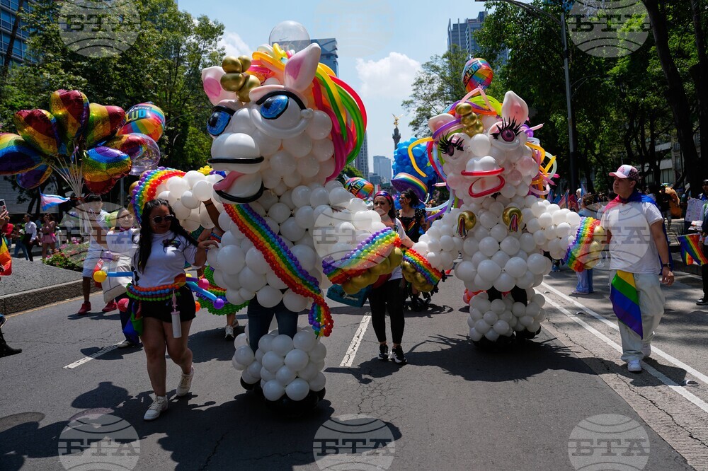 CORRECTION Mexico Pride Parade